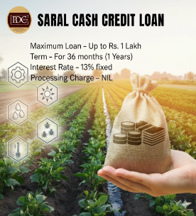 Saral CC Loan image